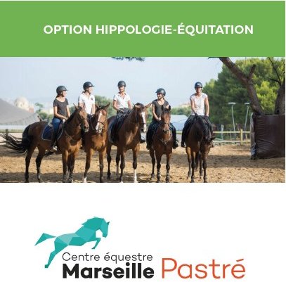 Option Hippologie Option Hippologie