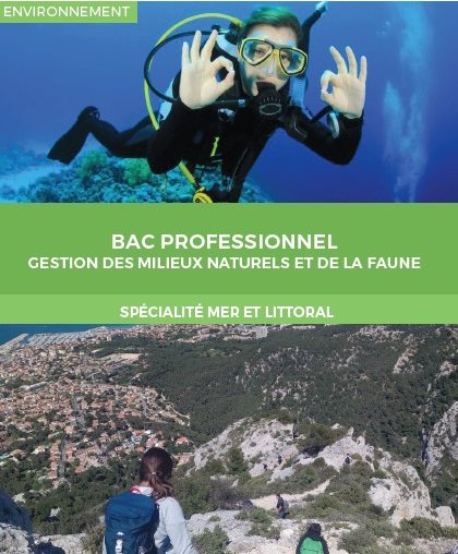 BAC Pro GMNF