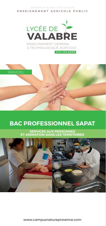 Bac Pro SAPAT